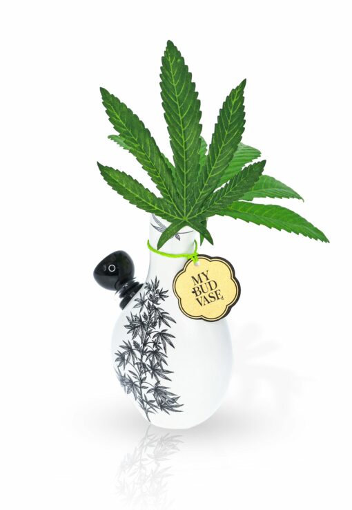 Shop My Bud Vase - Love Bud elegant bong in australian