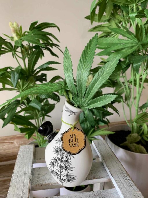 Shop My Bud Vase - Love Bud elegant bong in australian