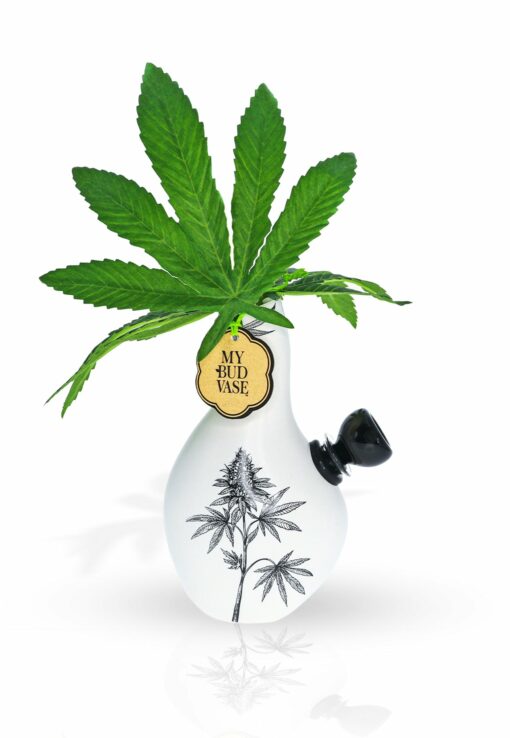 Shop My Bud Vase - Love Bud elegant bong in australian