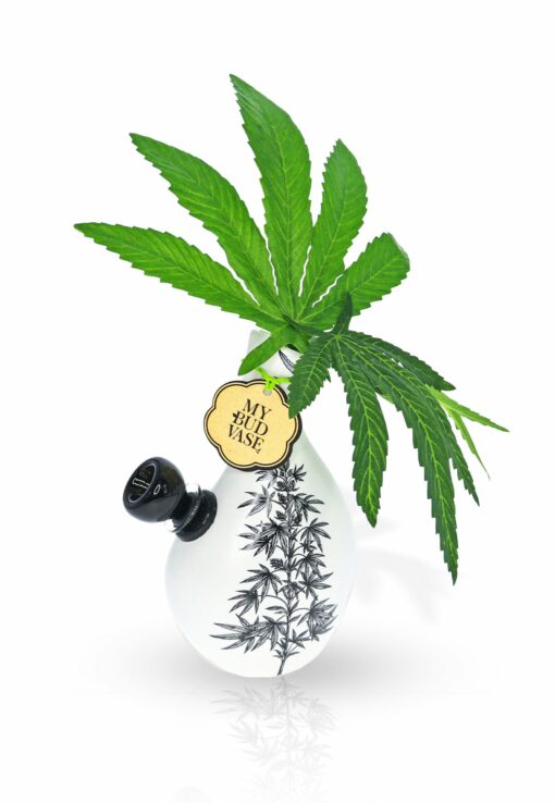 Shop My Bud Vase - Love Bud elegant bong in australian
